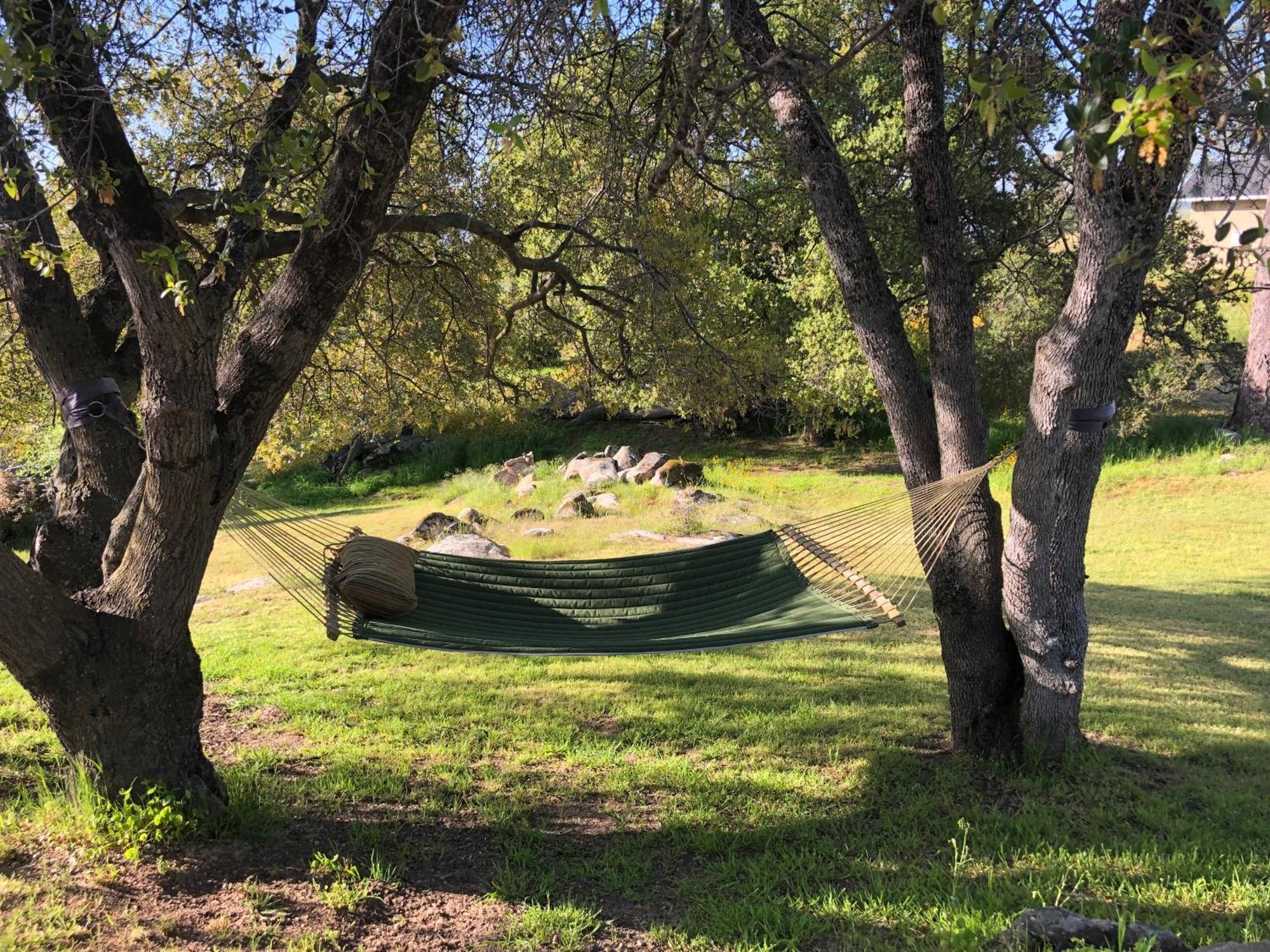 Oak Retreat By Yosemite National Park Διαμέρισμα Coarsegold Εξωτερικό φωτογραφία